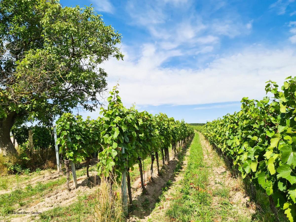 Wein * Moerbisch Am See